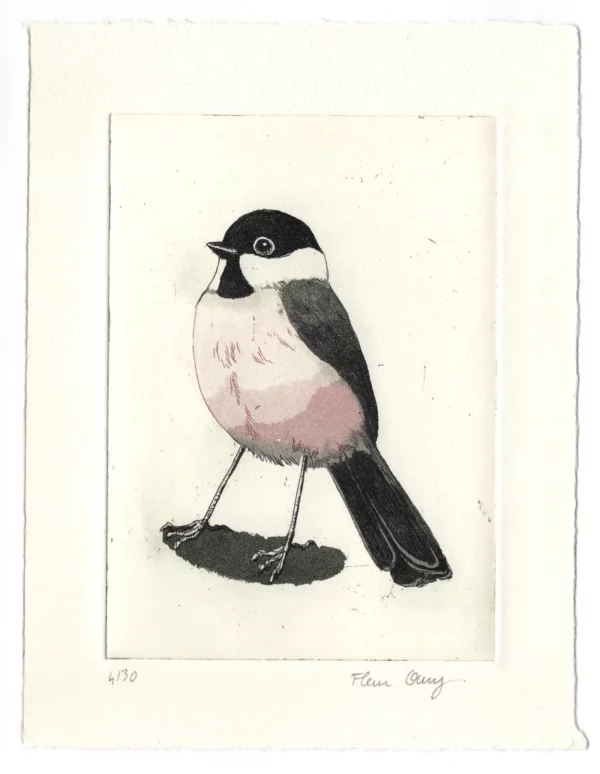 The barnacle tit